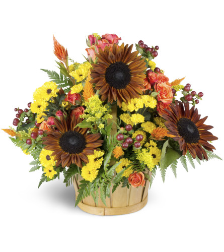 Bountiful Autumn Basket. An arrangement by Avenue Flowers and Gifts. Large sunflowers are arranged with spray roses, mums, and more in a cheerful...