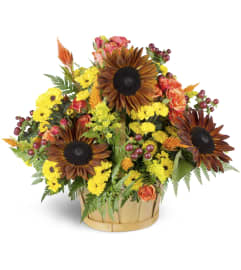 Bountiful Autumn Basket. An arrangement by Avenue Flowers and Gifts.