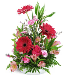 Love’s Garden™. An arrangement by Avenue Flowers and Gifts.