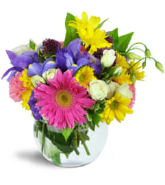 Color Me Happy™. An arrangement by Avenue Flowers and Gifts.