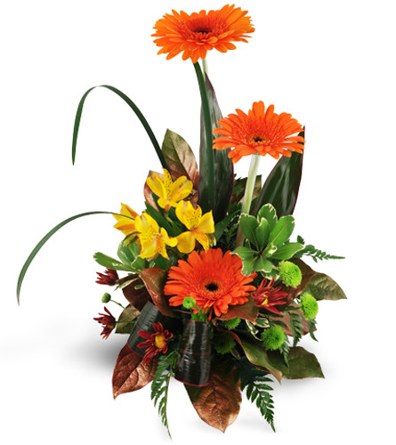 Rise Above. An arrangement by Avenue Flowers and Gifts. Gerbera daisies, alstroemeria, and button spray chrysanthemums are arranged with a variety...