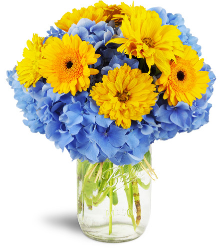 Country Lane Breeze™. An arrangement by Avenue Flowers and Gifts. Blue hydrangea, yellow mini Gerbera daisies, and yellow daisy mums are sweetly...
