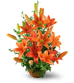 Asiatic Lily Basket. An arrangement by Avenue Flowers and Gifts.