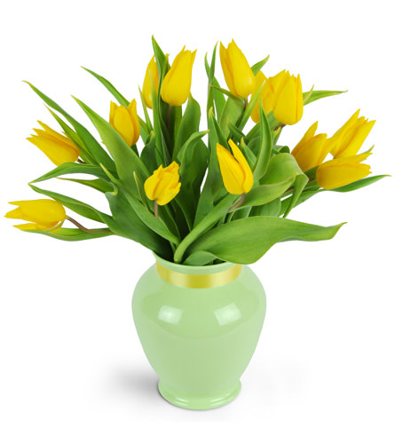 Totally Tulips™. An arrangement by Avenue Flowers and Gifts. A dozen yellow tulips are whimsically gathered in a pastel green vase and wrapped...