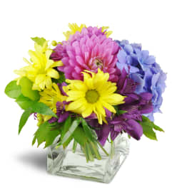 Pretty Purple Cheer™. An arrangement by Avenue Flowers and Gifts.