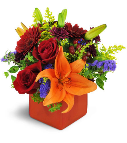 Fruit of the Bloom™ - Deluxe. An arrangement by Avenue Flowers and Gifts. A colorful mix of mini Gerbera daisies, Asiatic lilies, and...