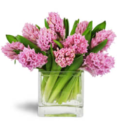 Sweet Pink Hyacinth™. An arrangement by Avenue Flowers and Gifts.