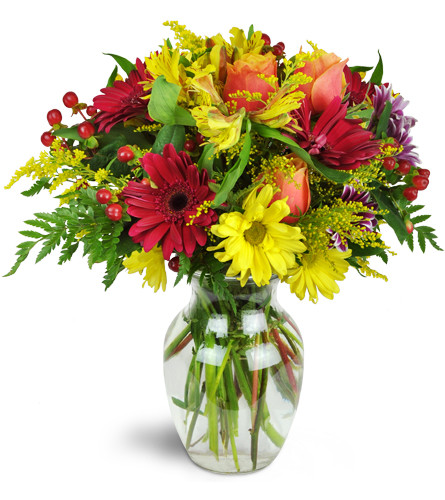Cheerful Wishes. An arrangement by Avenue Flowers and Gifts. Treat them to a charming variety of roses, Gerbera daisies, chrysanthemum daisies,...