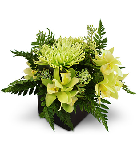 Emerald Jubilee. An arrangement by Avenue Flowers and Gifts. Mini Cymbidium orchids and fuji mums are accented with seeded eucalyptus, hypericum...