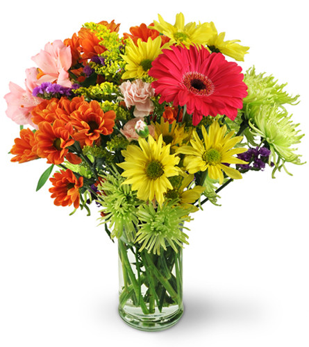 Flower Festival. An arrangement by Avenue Flowers and Gifts. Gerbera daisies, alstroemeria, mini carnations, and a colorful variety of mums are...