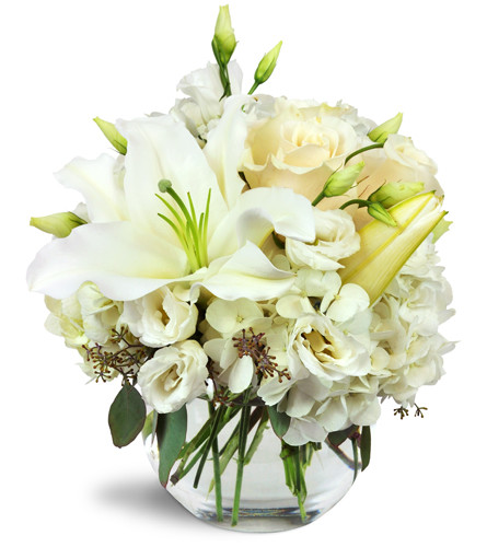 Halcyon Heart™ - Deluxe. An arrangement by Avenue Flowers and Gifts. A beautiful all-white arrangement including lilies, roses, lisianthus, and more..