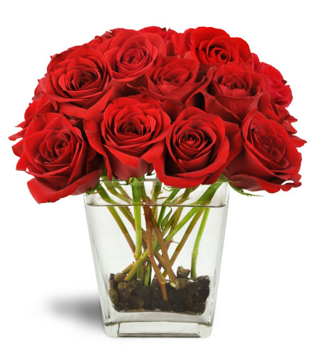 Love's Destiny Bouquet™ - Deluxe. An arrangement by Avenue Flowers and Gifts. Large red rose blooms burst from a clear glass vase lined with river...