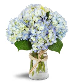 Cloud Nine™. An arrangement by Avenue Flowers and Gifts.