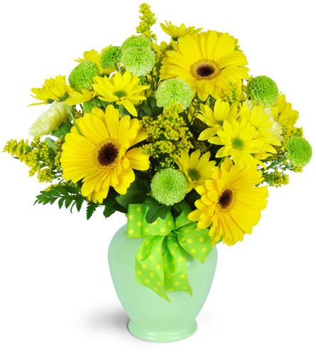 Spring Has Sprung. An arrangement by Avenue Flowers and Gifts. Bright yellow Gerbera daisies, green kermit poms, daisies, and solidago are...