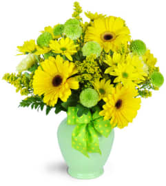 Spring Has Sprung. An arrangement by Avenue Flowers and Gifts.