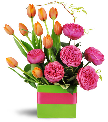 Bright and Breezy™. An arrangement by Avenue Flowers and Gifts. Vibrant fuchsia garden roses are arranged with festive orange tulips in a modern...