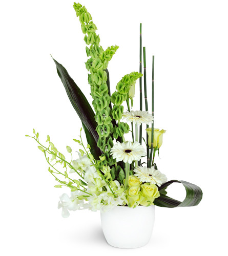 Cool Breeze. An arrangement by Avenue Flowers and Gifts. Beautiful white Dendrobium orchids are complimented by Gerbera daisies, soft green roses,...