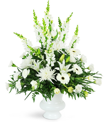 Peaceful White Tribute. An arrangement by Avenue Flowers and Gifts. Send this tasteful arrangement filled with white snapdragons, Gerbera daisies,...