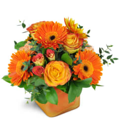 Tangerine Dream™. An arrangement by Avenue Flowers and Gifts.