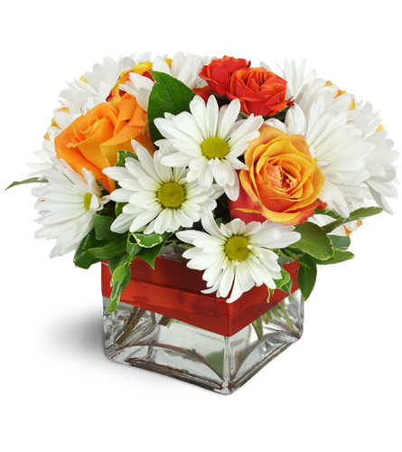 Vivid Glow™. An arrangement by Avenue Flowers and Gifts. Vivid orange roses and spray roses are arranged with creamy white daisies in a glass cube...