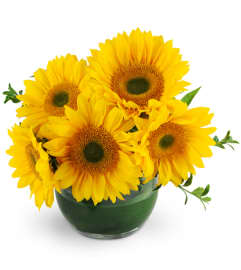 Let the Sun Shine. An arrangement by Avenue Flowers and Gifts.
