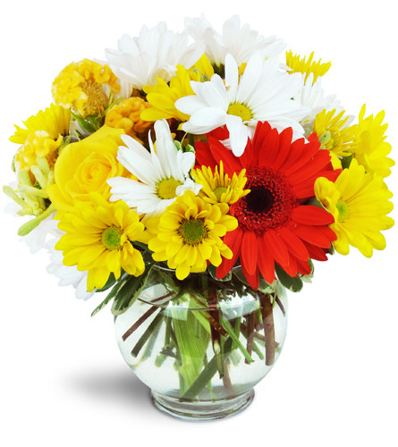 Bright Delight™. An arrangement by Avenue Flowers and Gifts. Gerbera daisies, yellow and white daisies, roses, and more are arranged in a glass vase..