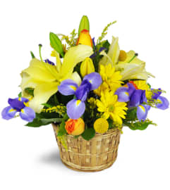 Lush and Lively™. An arrangement by Avenue Flowers and Gifts.