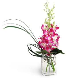 A Touch Of Pink™. An arrangement by Avenue Flowers and Gifts.