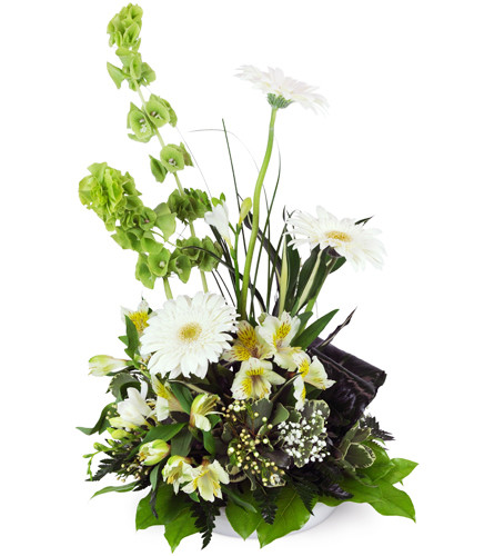 Gerbera Daisy Remembrance™. An arrangement by Avenue Flowers and Gifts. White Gerbera daisies, alstroemeria, freesia, and more are arranged in a...
