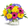 Blooming Medley™ - Deluxe. An arrangement by Avenue Flowers and Gifts. Purple hydrangea, Gerbera daisies, and roses come together to create a...