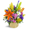Ode to Springtime Basket™ - Premium. An arrangement by Avenue Flowers and Gifts. Send them lavender spray roses, daisies, and more in a natural...