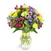 Enchanted Fields™ - Standard. An arrangement by Avenue Flowers and Gifts. A magical mix of purple and yellow alstroemeria, daisies, and aster...