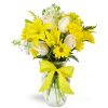 Smile a Mile Daisy Vase™ - Deluxe. An arrangement by Avenue Flowers and Gifts. Yellow lilies and daisies are arranged with cream roses and topped...