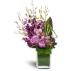 Orchid Jewels™ - Premium. An arrangement by Avenue Flowers and Gifts. A dazzling array of Dendrobium orchids, a succulent plant, and lavish greens...