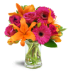 Vibrant Shine™ - Premium. An arrangement by Avenue Flowers and Gifts. Gift them asiatic lilies, roses, Gerbera daisies, and tulips arranged with...
