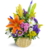 Ode to Springtime Basket™ - Deluxe. An arrangement by Avenue Flowers and Gifts. Send them lavender spray roses, daisies, and more in a natural...