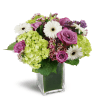 Sparking Joy™ - Standard. An arrangement by Avenue Flowers and Gifts. Green hydrangea, lavender roses, mini gerbera daisies, and more are sweetly...