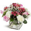Blushing Blessings Cube™ - Standard. An arrangement by Avenue Flowers and Gifts. Handcrafted with pink roses, pink Peruvian lilies, and white...
