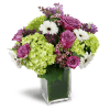 Sparking Joy™ - Deluxe. An arrangement by Avenue Flowers and Gifts. Green hydrangea, lavender roses, mini gerbera daisies, and more are sweetly...