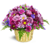 Amethyst Skies Basket™ - Premium. An arrangement by Avenue Flowers and Gifts. Daisies, carnations, asters, miniature carnations, and more—are...