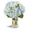 Cloud Nine™ - Deluxe. An arrangement by Avenue Flowers and Gifts. Six stems of blue hydrangea are arranged in a gracious glass vase..