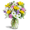 Sunshower Bouquet™ - Standard. An arrangement by Avenue Flowers and Gifts. Lavender roses, cheerful white daisies, and fragrant yellow freesia are...