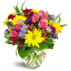 Joyful Thanks™ - Deluxe. An arrangement by Avenue Flowers and Gifts. Yellow daisies, purple asters, pink spray roses, and more are delightfully...