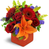 Fruit of the Bloom™ - Premium. An arrangement by Avenue Flowers and Gifts. A colorful mix of mini Gerbera daisies, Asiatic lilies, and...