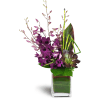 Orchid Jewels™ - Standard. An arrangement by Avenue Flowers and Gifts. A dazzling array of Dendrobium orchids, a succulent plant, and lavish...