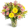 Sweet and Sunny™ - Premium. An arrangement by Avenue Flowers and Gifts. Soft pink spray roses and bright yellow mini Gerbera daisies are...