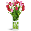 So Sweet™ - Premium. An arrangement by Avenue Flowers and Gifts. Red, pink, and white tulips are cheerfully arranged in a glass vase..