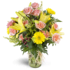 Sweet and Sunny™ - Deluxe. An arrangement by Avenue Flowers and Gifts. Soft pink spray roses and bright yellow mini Gerbera daisies are cheerfully...