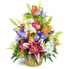 Stargazer Blessings Basket™ - Deluxe. An arrangement by Avenue Flowers and Gifts. Stargazer lilies, irises, and more are expertly arranged in a...
