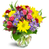 Joyful Thanks™ - Premium. An arrangement by Avenue Flowers and Gifts. Yellow daisies, purple asters, pink spray roses, and more are delightfully...